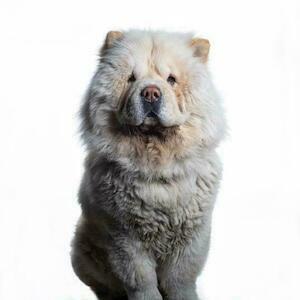 bild bild - 02_bild_0002